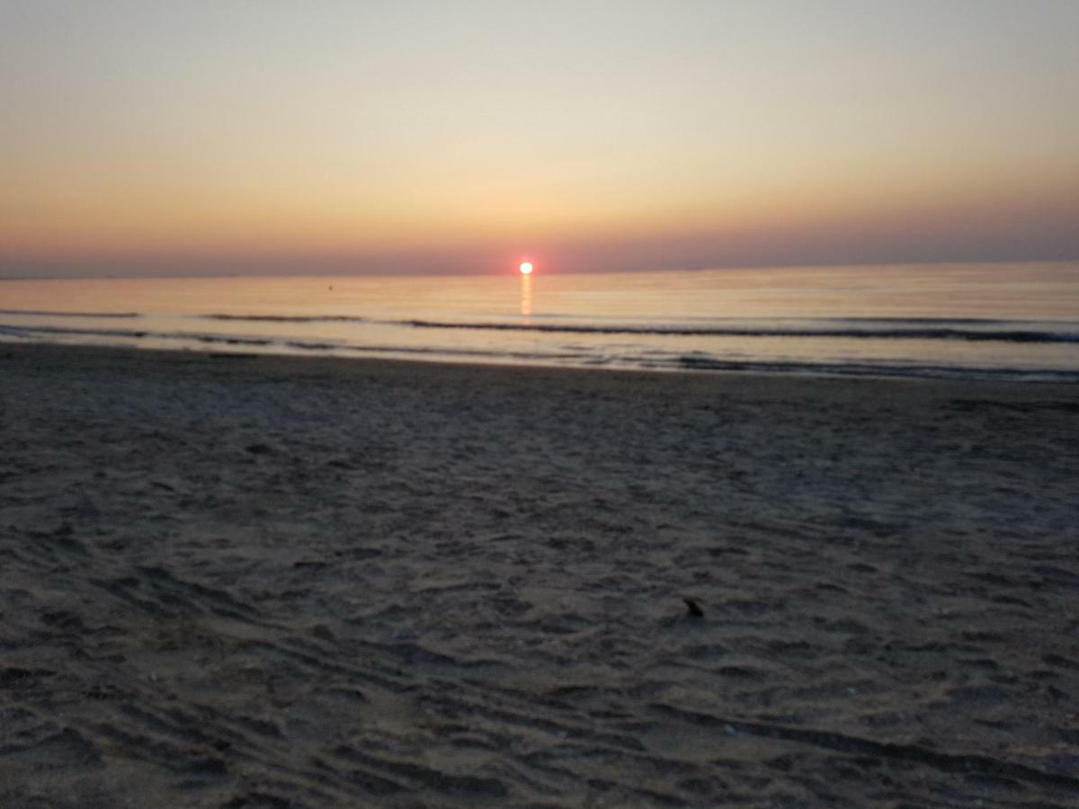 Oceana Summerland Apartment Mamaia Kültér fotó